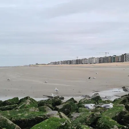 Appartement In St Idesbald Near The Sea *