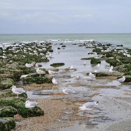 Apartment In St Idesbald Near The Sea *