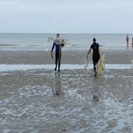 In St Idesbald Near The Sea